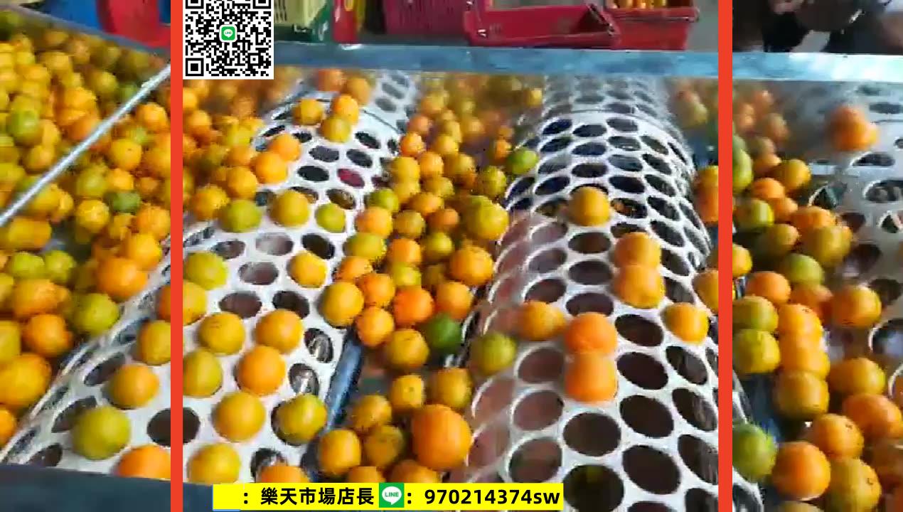 選果機。沃柑選機果 皇帝柑分選機 柑橘選果機全自動水果分級機