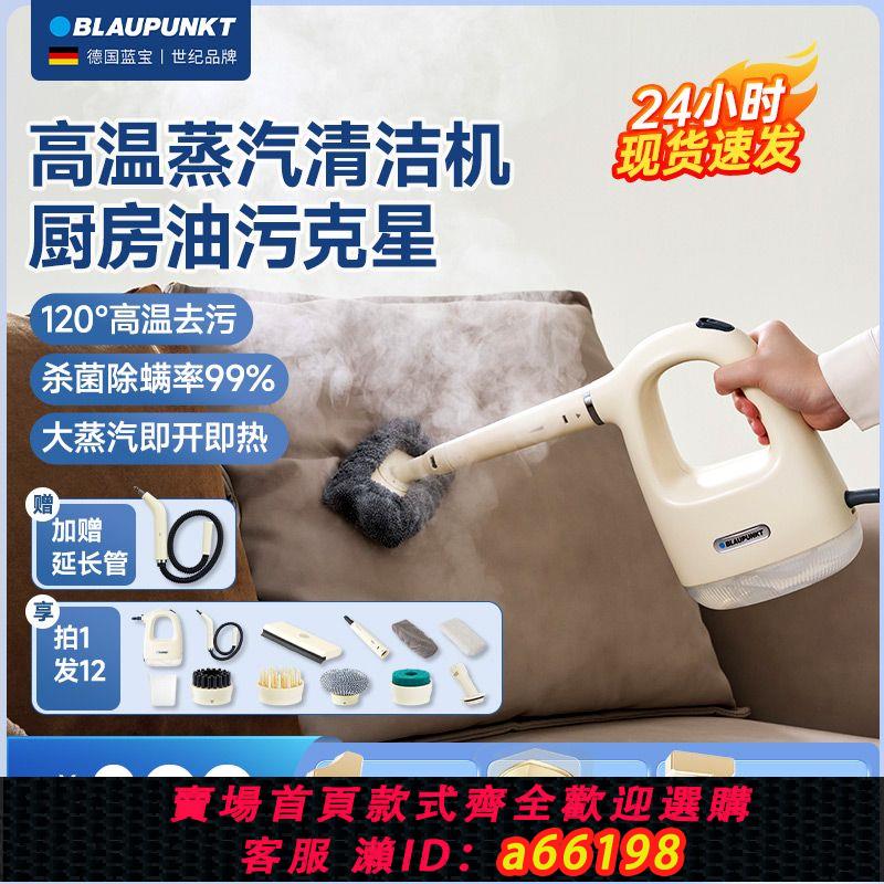 【臺灣公司 可開發票】【藍寶蒸汽清潔機】家用油煙機清洗神器多功能高溫高壓蒸汽機