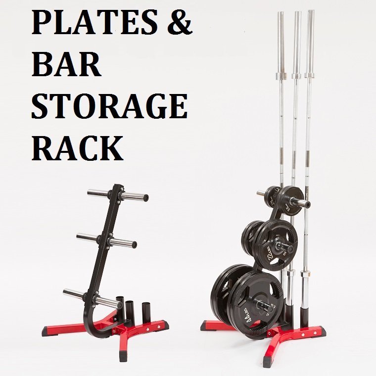 槓片架/兩用槓鈴架/奧林匹克槓片和1英吋小孔槓片都可放/可放奧林匹克槓【Fitek健身網】