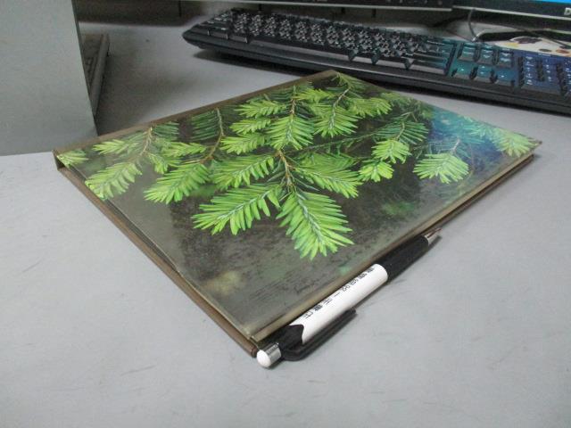 【書寶二手書T1／動植物_YCF】Evergreens