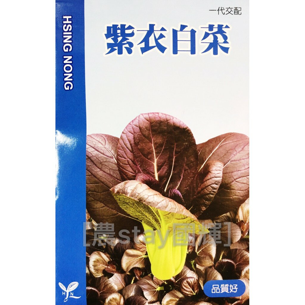 【農stay國輝】紫衣白菜種子．蔬菜種子《興農品種小包裝40元/包》