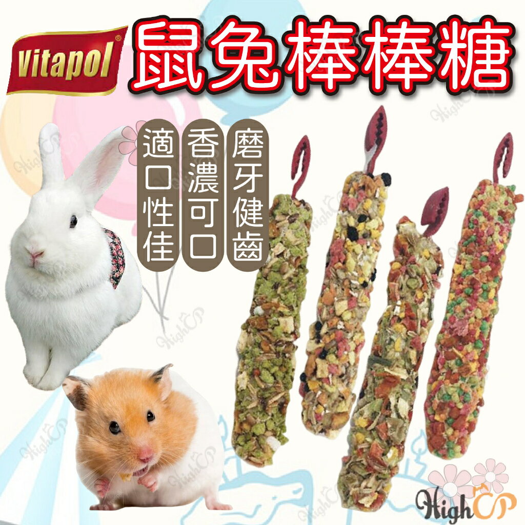 Vitapol 鼠兔棒棒糖 小寵零食 綜合水果 小寵點心 兔子棒棒糖 倉鼠棒棒糖 小寵磨牙棒【23030136】