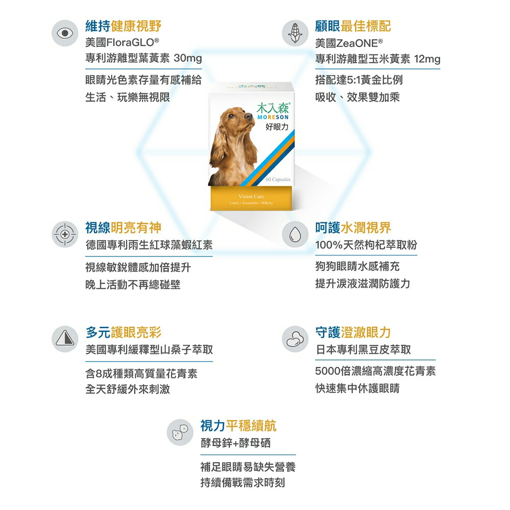 ＵＴＯ｜ 木入森 犬寶好眼力/狗狗葉黃素 專業獸醫推薦 3