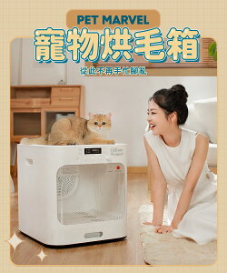 現貨 60L寵物烘幹箱 全自動洗貓咪狗狗洗澡烘幹機 家用寵物吹毛機