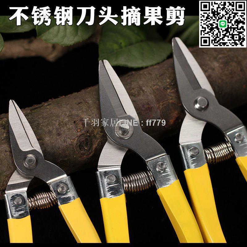 【千羽家居】摘果剪刀樹枝修剪家用多功能修枝剪樹枝修剪採摘桔橘柑子粗枝省力