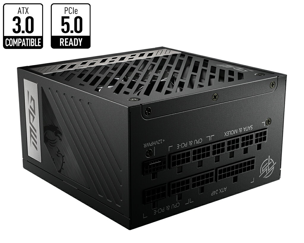 MSI 微星 MPG A1000G PCIE5 1000W 金牌 全模組 ATX3 電供 電源供應器