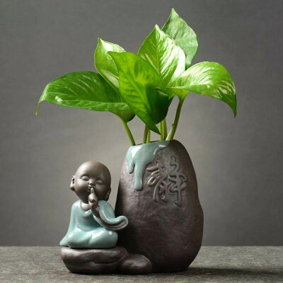透明花盆 21年2月 Rakuten樂天市場 透明花盆 21年2月 Rakuten樂天市場