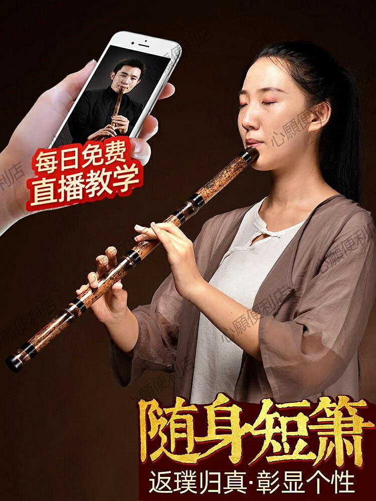 短簫竹蕭樂器入門初學專業演奏紫竹洞簫高檔洞蕭八孔六g調f古瀟笛