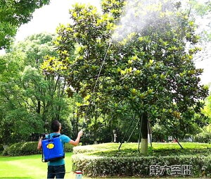 噴霧器 手動氣壓農用家用噴高果樹背負式消毒噴霧器輕便 全館免運