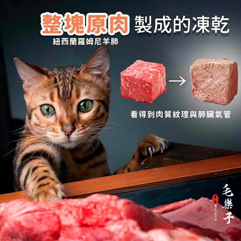 Trilogy 奇境 無穀全貓糧 羊肺凍乾 無穀貓飼料 凍乾 貓糧 小包裝 300g 5