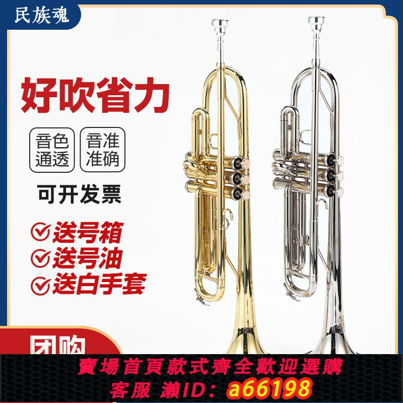 【臺灣公司 可開發票】小號樂器降b調專業演奏三音小號初學者學生兒童鼓號隊西洋號樂器
