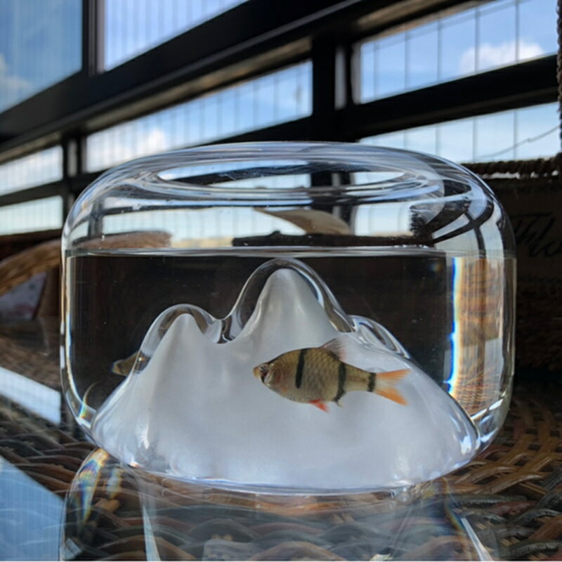 雪山玻璃魚缸客廳小型裝飾小擺件迷你水族箱桌面水草超白創意造景