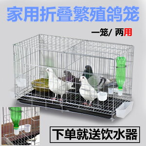 鳥籠 鴿子籠 籠子 加粗鴿子籠子鴿子用品用具鴿子籠大號雞籠家用鴿子養殖籠子『cyd17911』