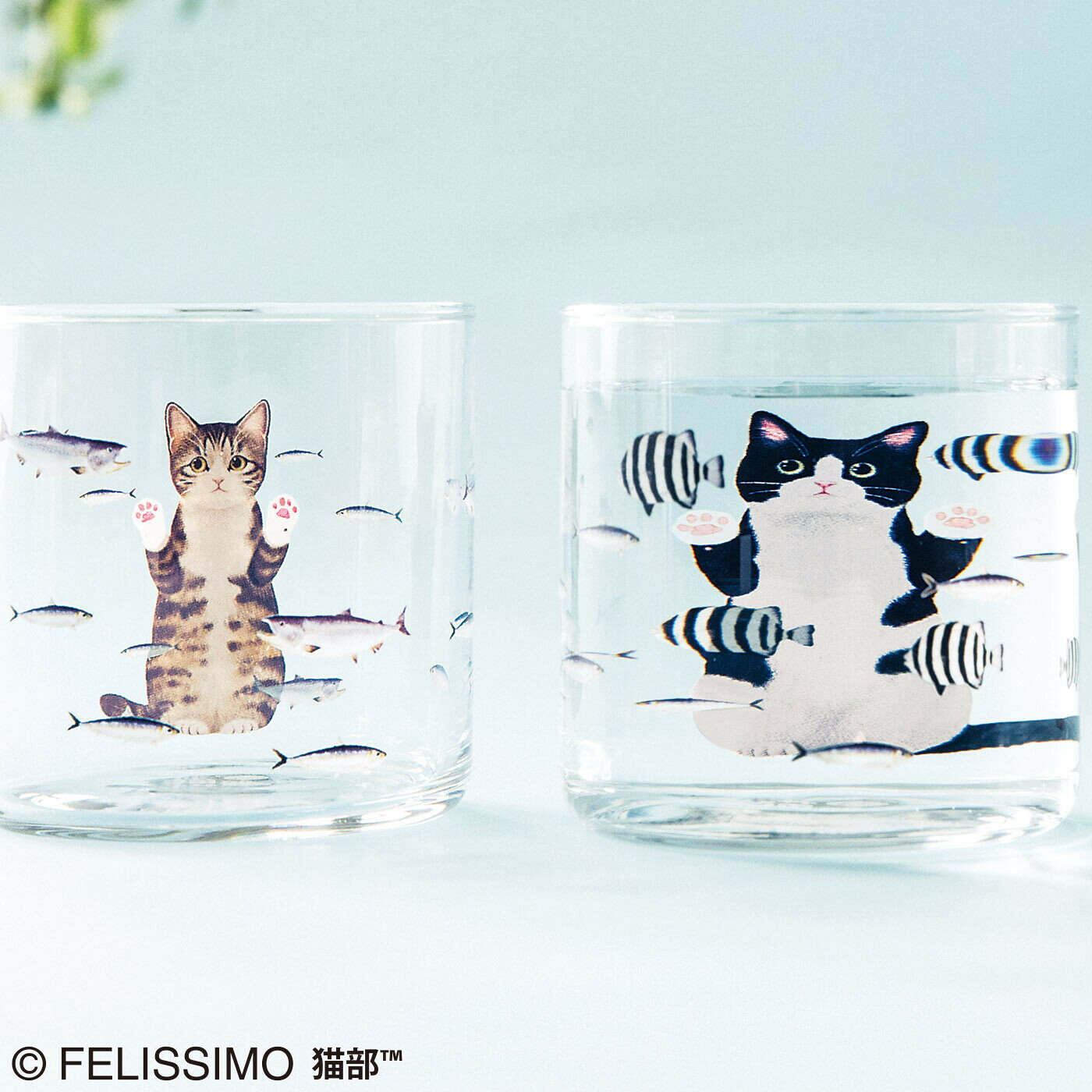 【日本Felissimo】好想吃魚 貓部 玻璃杯 加水後直接胖三倍 日本製 生日禮物 聖誕禮物 耶誕禮物