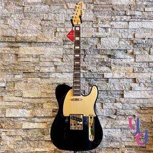 【Squier 40週年絕美限量】現貨可分期 40th Anniversary Tele 黑金色 電吉他