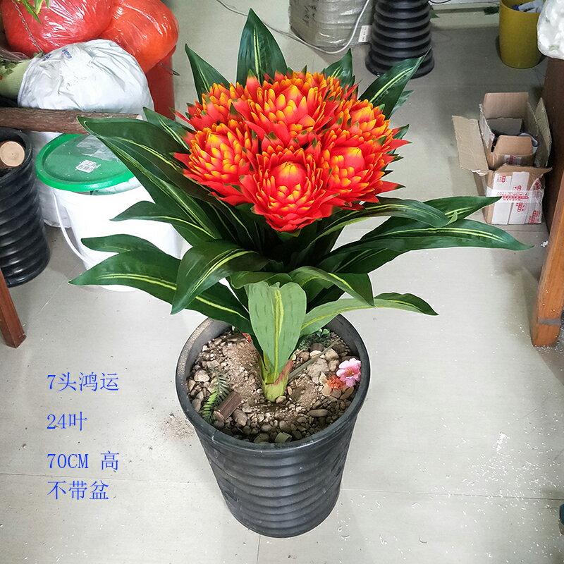 鴻運當頭塑膠花模擬盆栽花招財假樹桌面綠植紅掌擺設客廳裝飾盆景