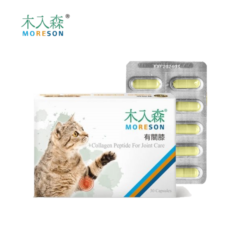 MORESON 木入森 貓咪有關膝 貓關節保健 貓膝蓋保營 針對肌肉發展