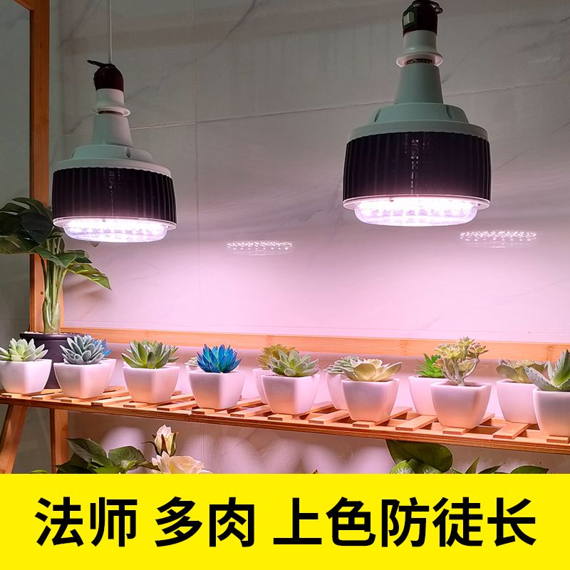 免運 植物生長燈 補光燈 照多肉帶UV紫光全光譜多肉補光燈綠植花卉上色控型植物LED生長燈 快速出貨