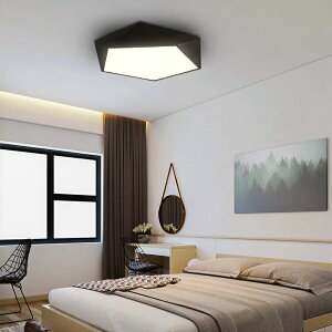希維爾北歐風格吸頂燈現代簡約客廳臥室書房LED創意個性吸頂燈