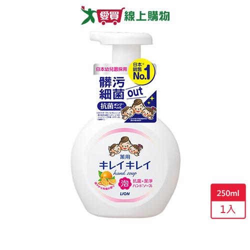 獅王趣淨洗手慕斯-清爽柑橘250ml【愛買】