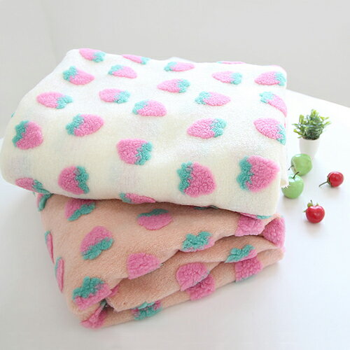 起毛提花針織 服裝布料 進口布料 甜甜草莓系列 ct2852