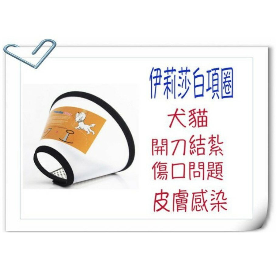 伊莉莎白項圈 狗頭套 貓頭套  19-45cm～適用結紮、開刀、傷口問題、皮膚感染、犬貓洗澡時