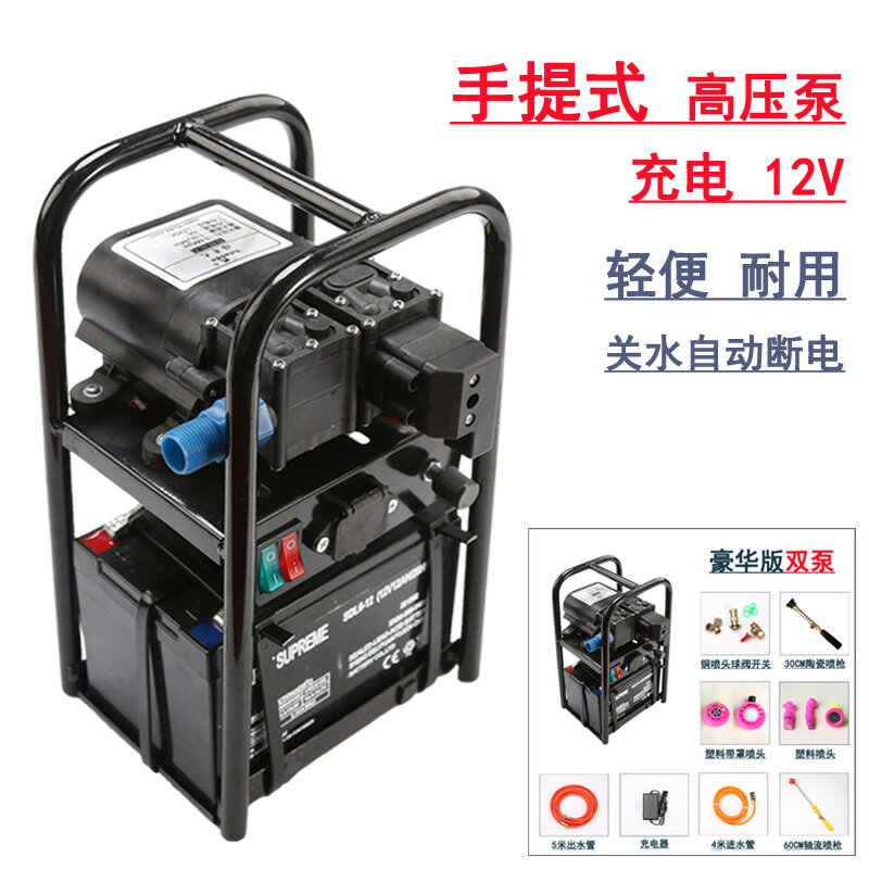 手提式雙核泵12V大電瓶園藝霧化高壓管三缸隔膜泵小型電動噴霧器