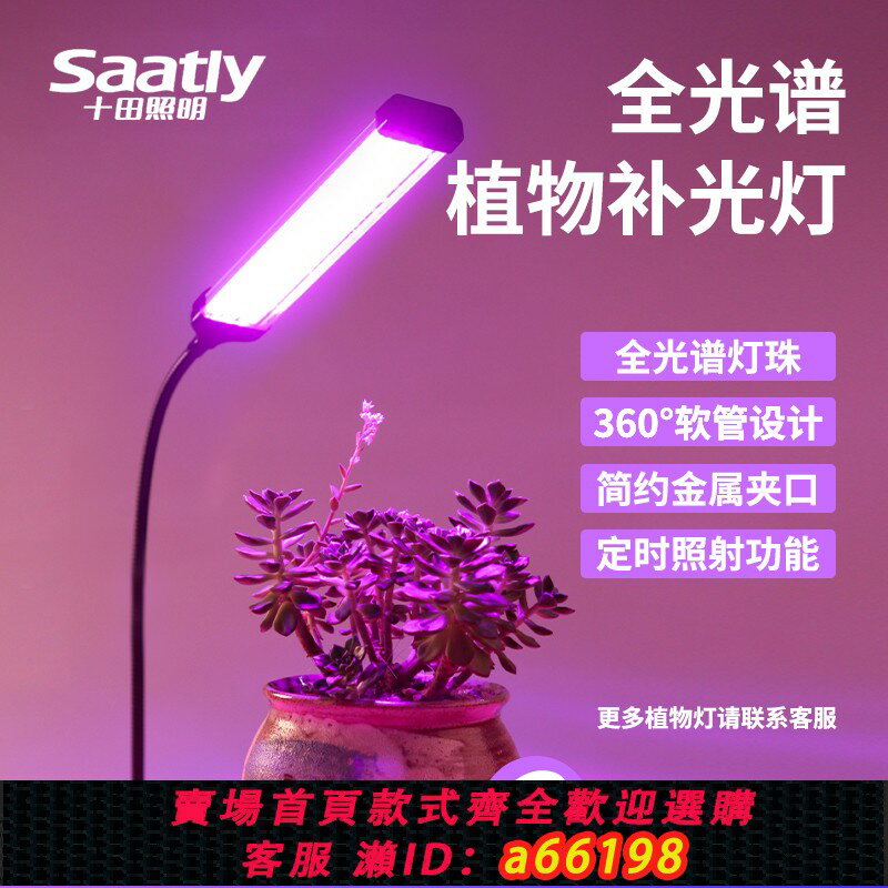 【臺灣公司 可開發票】全光譜植物生長燈多肉補光燈上色仿太陽USB夾子式LED燈花卉家用