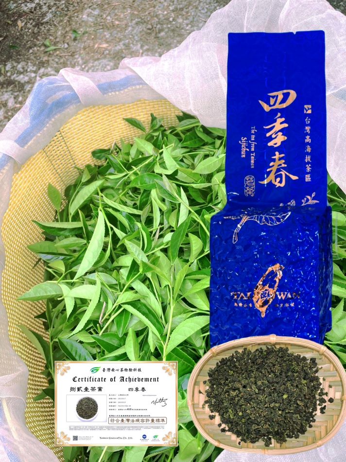 名間 四季春 茶葉