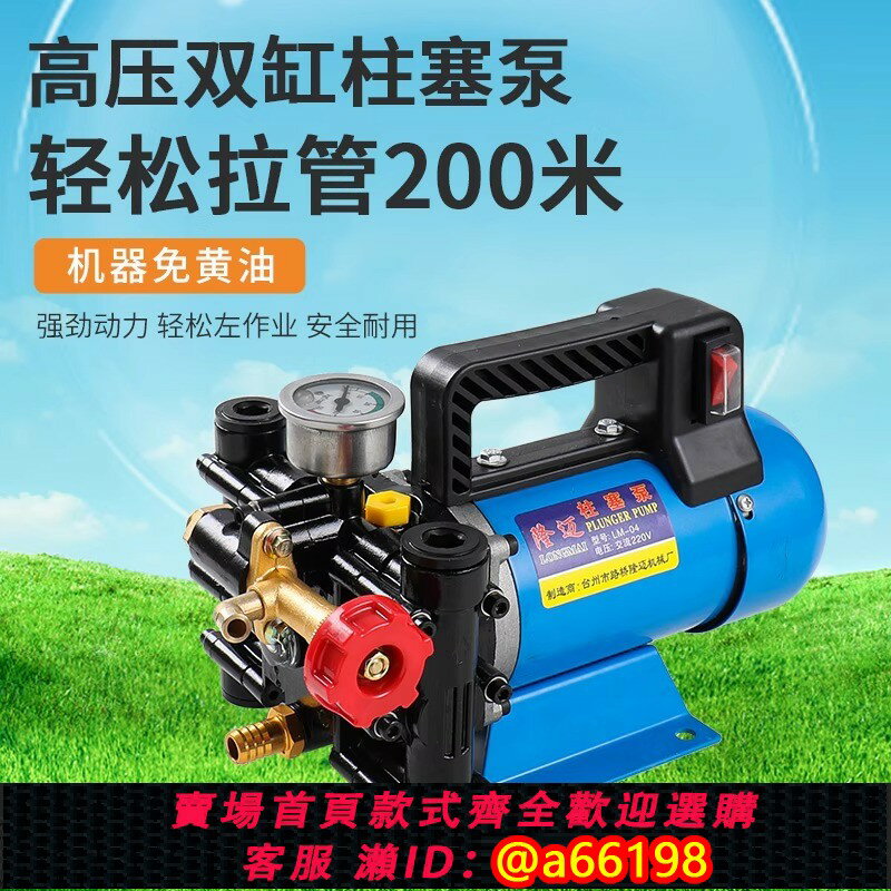 【臺灣公司 可開發票】手提式打藥機農用電動果樹噴霧器12V48V60V220伏高壓雙缸柱塞藥泵