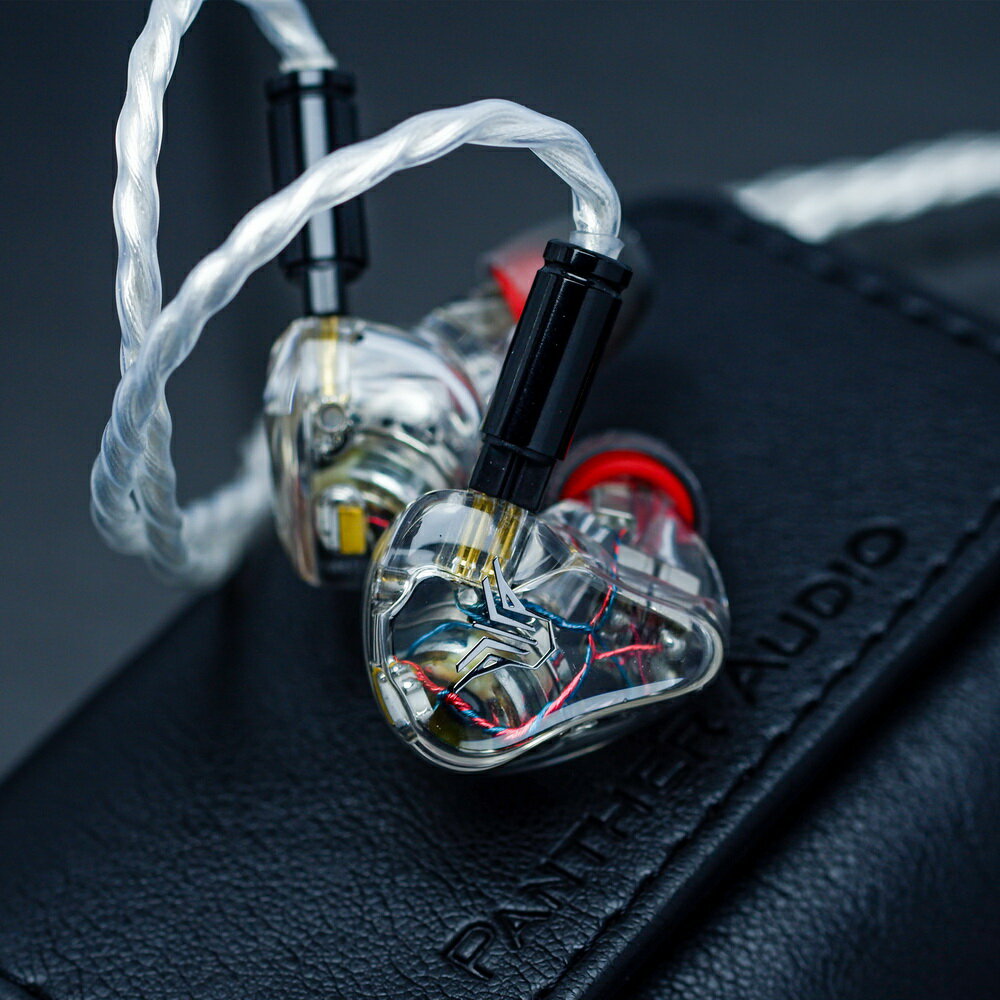 (可詢問訂購)Panther Audio AURA DX4 1動圈 3動鐵 耳道式耳機 台灣公司貨 3