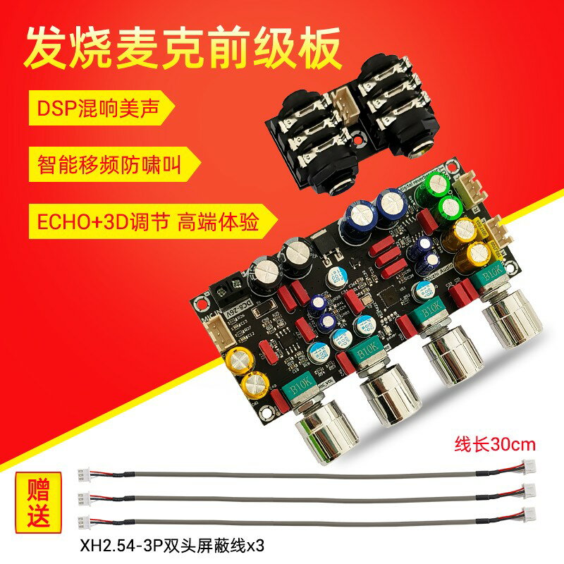 {臺灣公司貨 可打統編}AMP發燒卡拉OK混響板麥克話筒K歌唱歌前級效果器板DSP混音防嘯叫