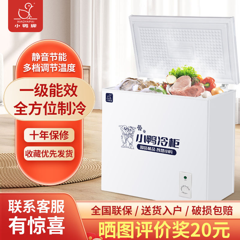 【最低價 公司貨】小鴨牌冰櫃家用小型冷藏冷凍兩用大容量冰箱車載宿舍出租屋小冰櫃