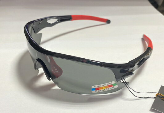 【【蘋果戶外】】APEX 309 黑 台製 polarized 抗UV400 寶麗來偏光鏡片 運動型太陽眼鏡 附原廠盒、擦拭布(袋)