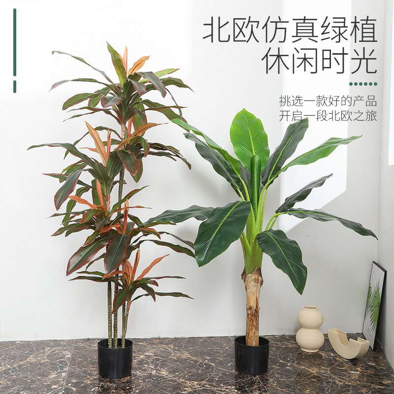 模擬芭蕉樹客廳落地擺件盆景 室內大型北歐植物紅鐵樹假綠植盆栽