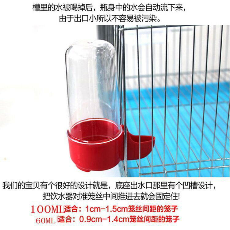 鸚鵡八哥小鳥自動飲水器 喂食器 小鳥通用飲水喂食器 八哥飲水器 合美健 蛋黃粟下料器【現貨】 4