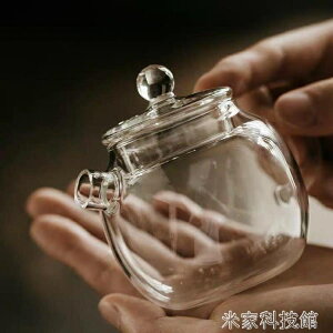 茶壺 玻璃小壺小巨輪養生泡茶壺耐熱玻璃帶蓋壺