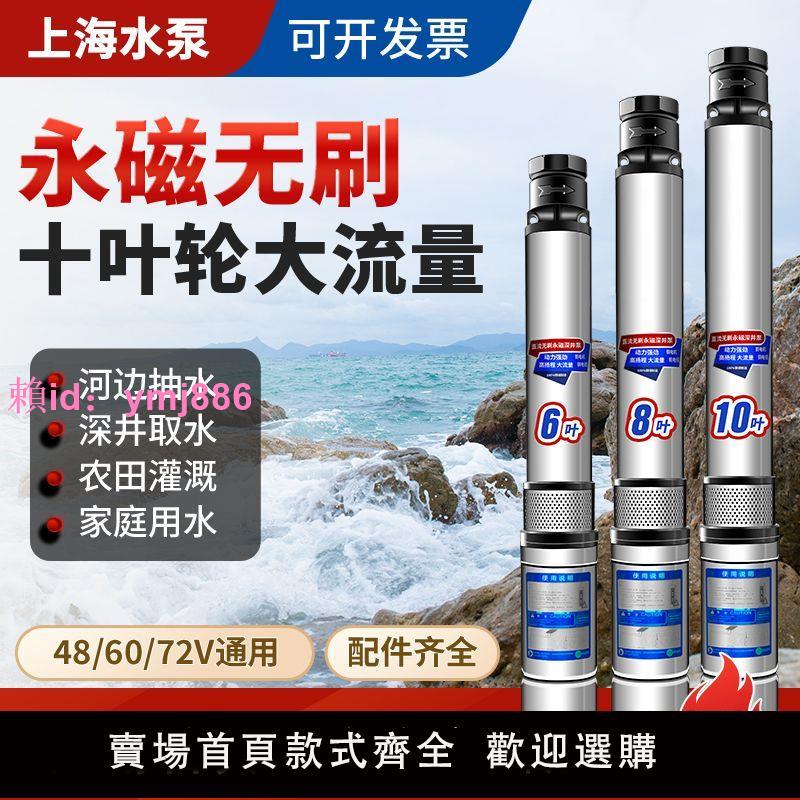 上海水泵永磁無刷電動車專用深井泵通用型48V60V72V農田灌溉澆花