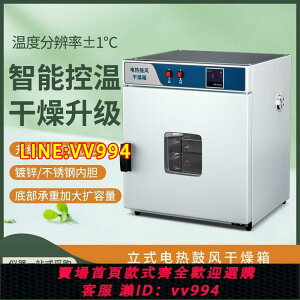 可打統編 電熱恒溫鼓風干燥箱實驗室烤箱立式小型工業烘箱藥中藥材烘干機