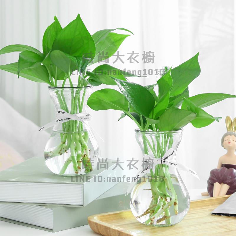 3個裝 加厚玻璃花瓶透明北歐創意水培植物綠蘿水養插花器【時尚大衣櫥】