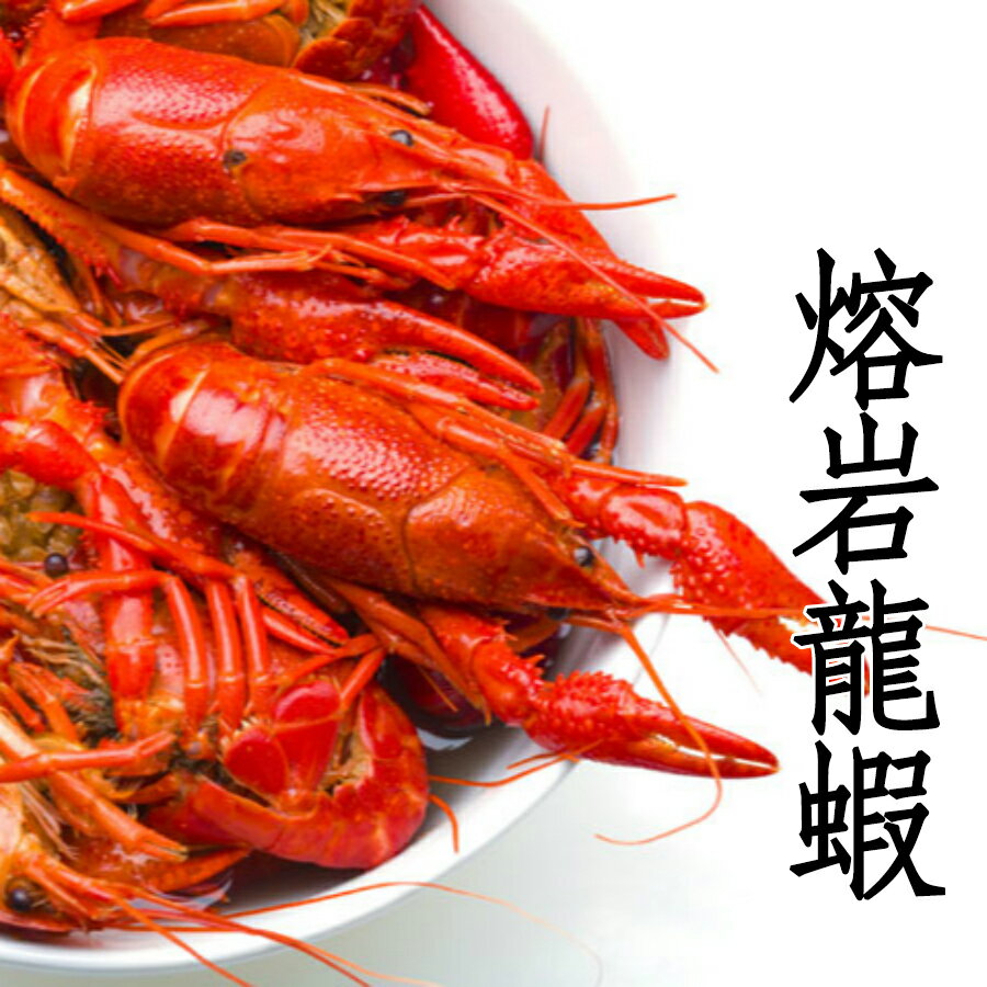 ㊣盅龐水產◇熔岩龍蝦13/15◇800g±5%/盒◇零$470元/盒◇肉質Ｑ彈甜嫩又健康 小龍蝦 價格親民 零售 批發