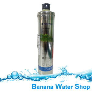 『Banana Water Shop 免運費送到家』美國原裝進口 EVERPURE H-104／H104濾心