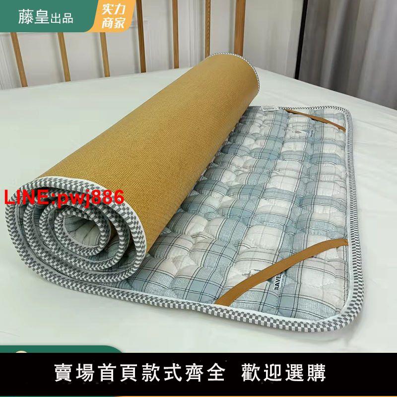 [臺灣發票]學生雙面涼席床墊冬夏兩用宿舍上下鋪床墊可折疊午睡席打地鋪睡墊