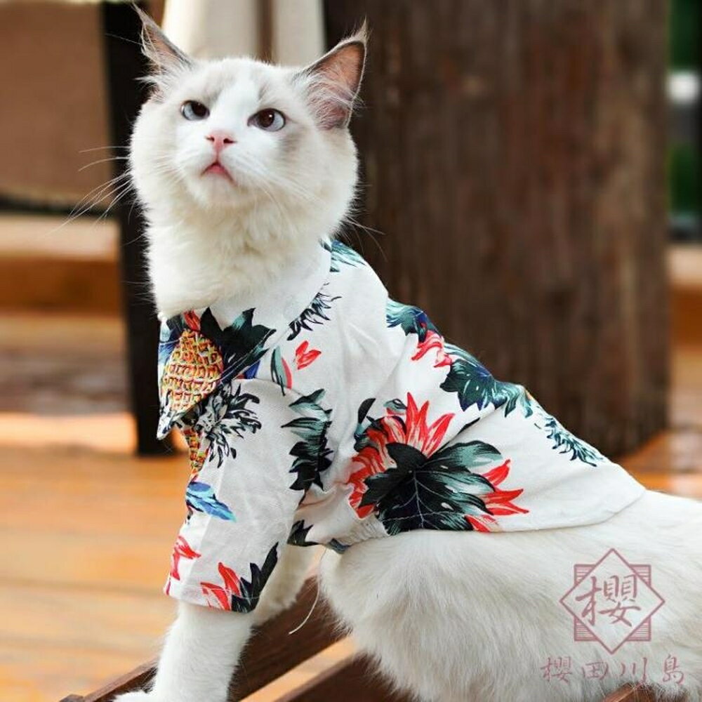 沙灘襯衫幼貓狗狗衣服小型犬寵物服飾【櫻田川島】