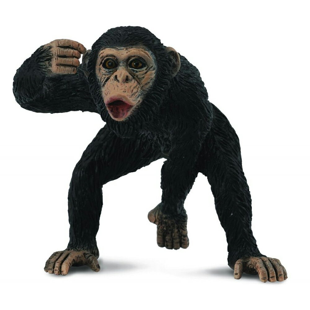 動物模型【 COLLECTA 】黑猩猩