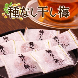 日本超好吃蜜餞梅子肉干梅過年新年假日必備點心零食酸酸甜甜好唰嘴家庭包大包裝270g獨立包裝-現貨
