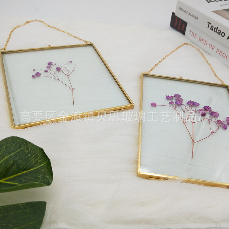 黃銅復古創意玻璃藝術品植物標本雙面玻璃金屬相框 植物相框