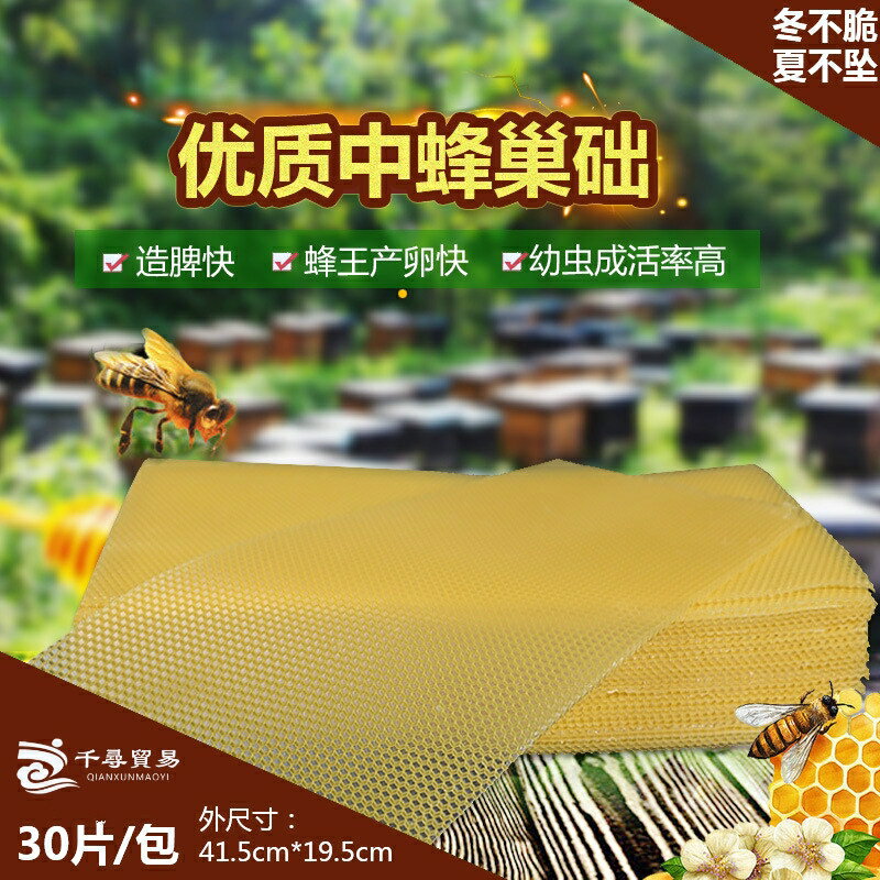 【優質中蜂巢礎】巢框 蜂箱 蜂具 中蜂巢礎片 蜜蜂巢礎30張 蜂蠟巢基巢脾蜂頁蜂巢框養蜂工具 交換禮物 全館免運