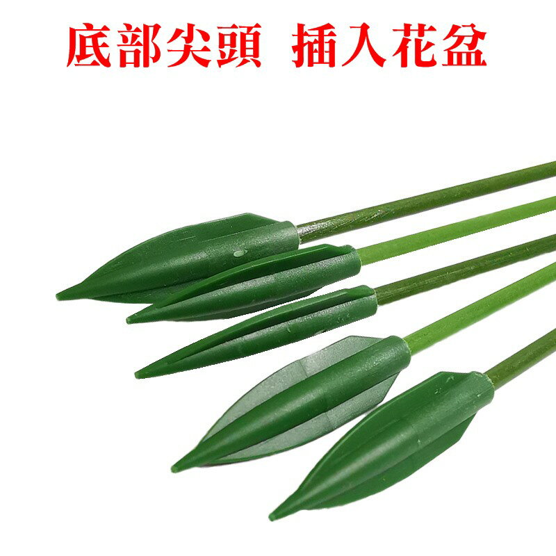 【珍愛頌】N423 花盆支架 花劍支架 蘭花支架 花卉造型 蝴蝶蘭支架 多肉花架 攀爬支柱 支撐桿 爬藤架 防倒 護葉 6