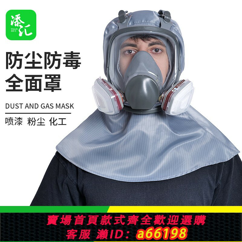 【臺灣公司 可開發票】防毒面具噴漆化工打磨裝修專用頭罩重度油煙防塵面罩